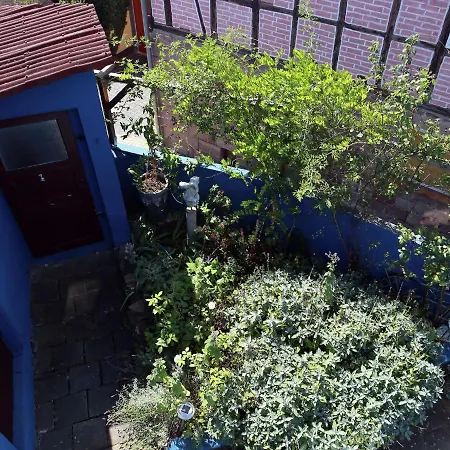 Mediterranean House In Kyffh Userland With Terrace And Herb Garden 펜션 *